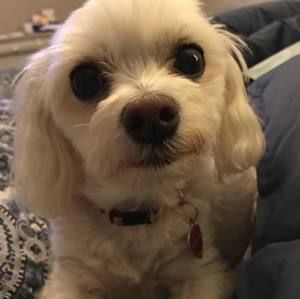 Meet your Posher, Ron